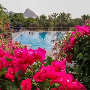 *** Bed & Breakfast Cala Dell'arena Italy